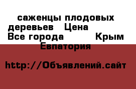 саженцы плодовых деревьев › Цена ­ 6 080 - Все города  »    . Крым,Евпатория